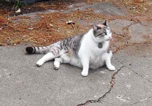 Lois uit Austin, Texas