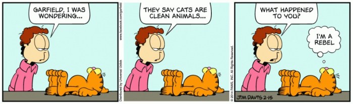 Garfield: Lumpy is gewoon een rebel