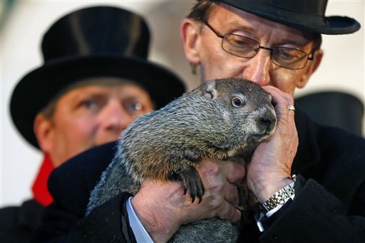 Punxsatawney Phil, de groundhog