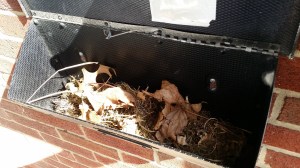 De brievenbus op zaterdag