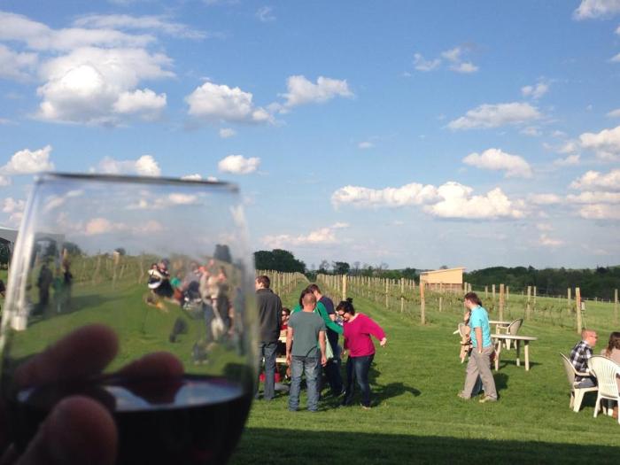 SCYP-ers op Cassel Vineyards 