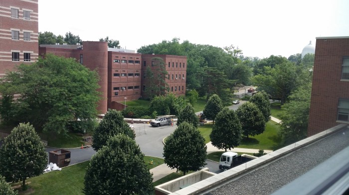 En dit is in de zomer...!