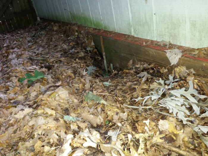 Een hol onder het huisje in de achtertuin