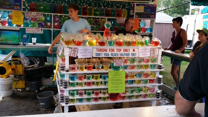 Gooi een pingpongbal in het middelste bakje en win een vis!