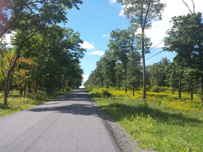 Black Moshannon State Park