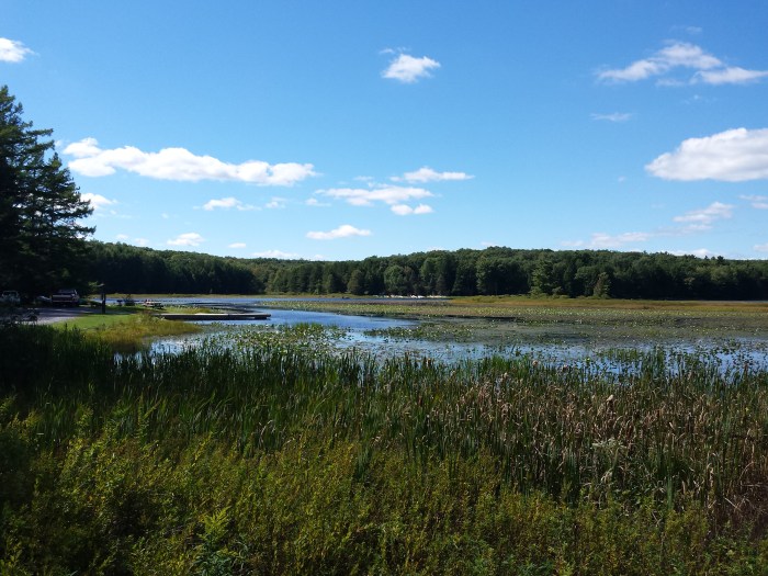 Bergmeertje in Black Moshannon State Park