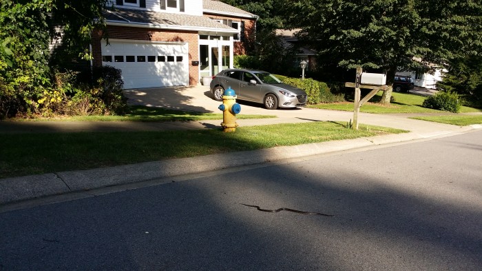 Een slang voor ons huis