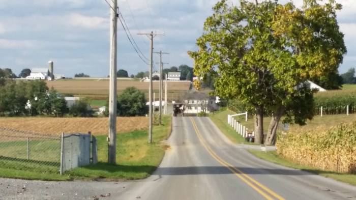 .... en daar komt nog een koets aan