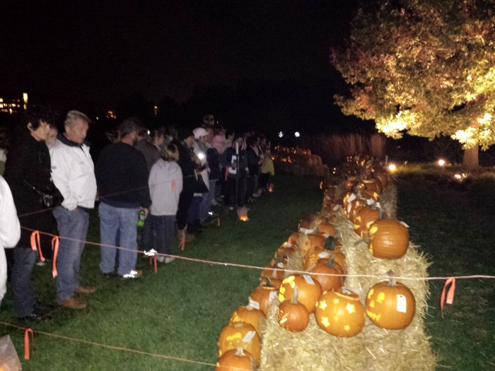 Pompoenenfestival bij het Arboretum