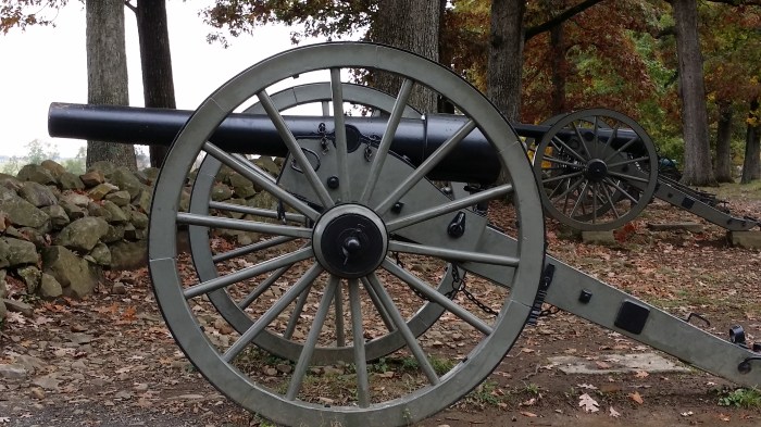 Een kanon, type 'Napoleon'