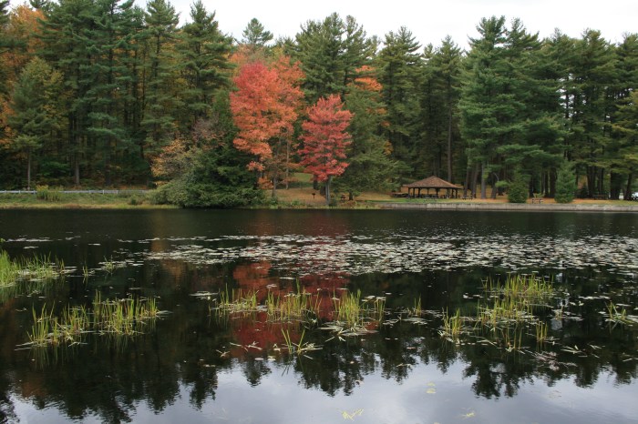 Black Moshannon Park