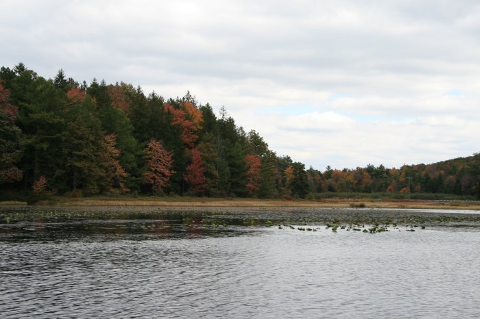 Black Moshannon Park
