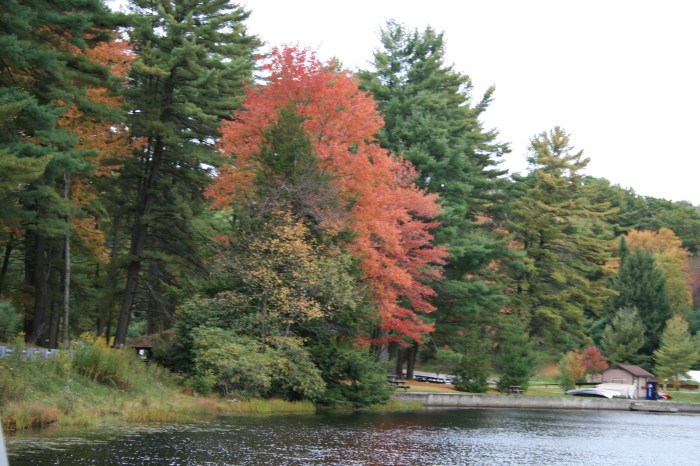 Black Moshannon Park