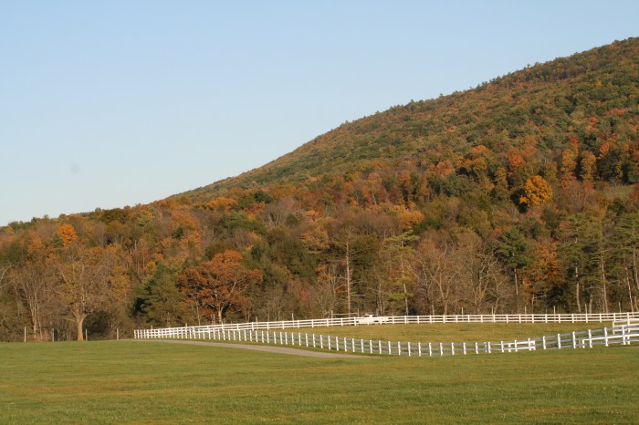Bij Centre Hall, op een kwartiertje rijden van State College
