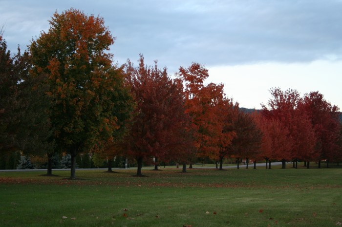 Bij Boalsburg, 5 minuten van State College
