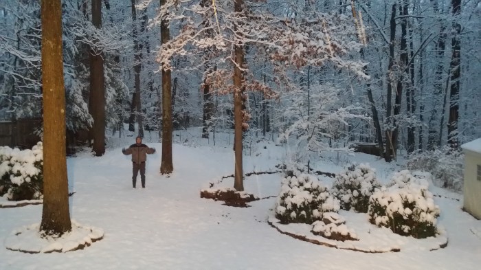 Michiel in de achtertuin