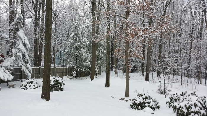 Er is een bakje sneeuw gevallen!