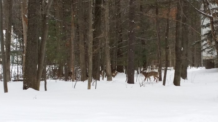 Uiteindelijk kozen ze met z'n allen het hazenpad
