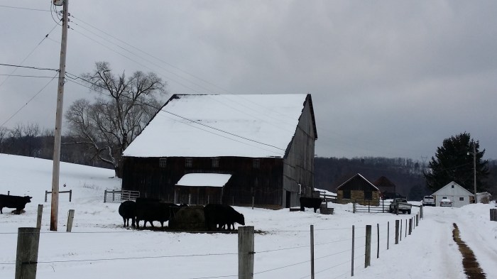 Biefstukjes in de sneeuw