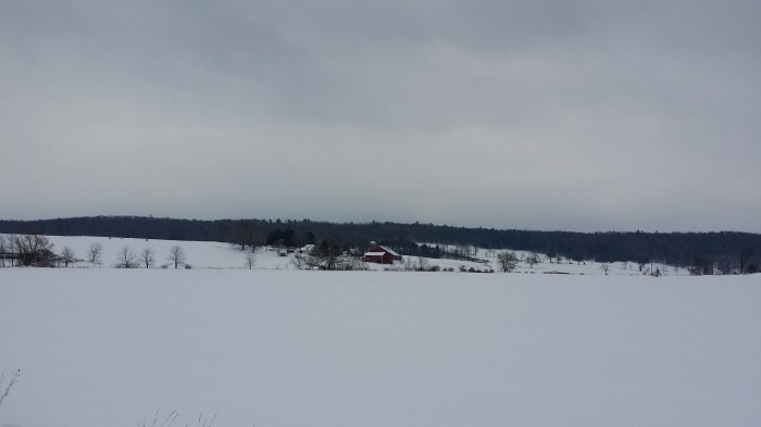 Een rode schuur in de verte