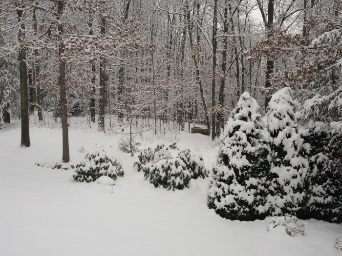 Een hele hoop sneeuw in de achtertuin