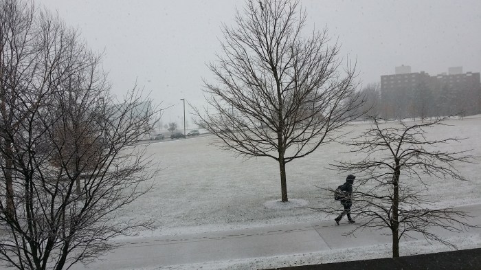 Het sneeuwt weer eens. Nog maar eens...