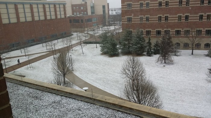 Dikke vlokken verse sneeuw. Jippie.