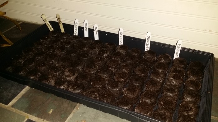 Mijn kruidenzaaibakje