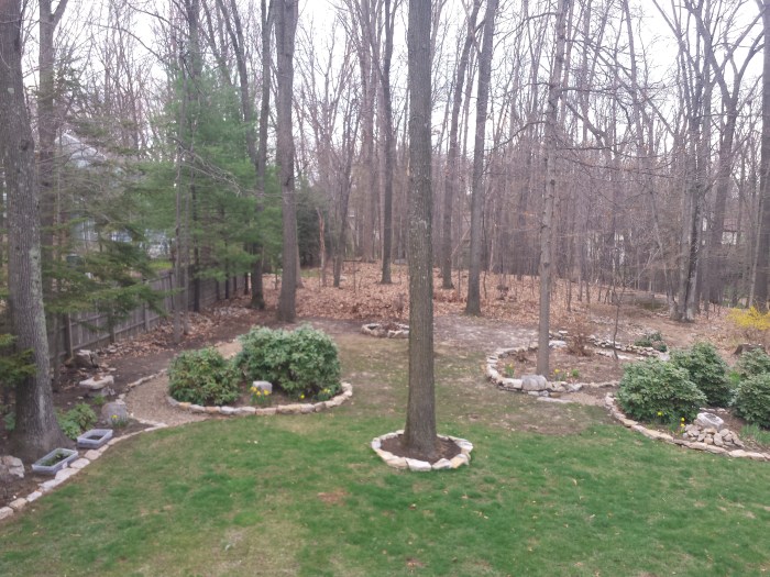 21 april. Het gras wordt groener