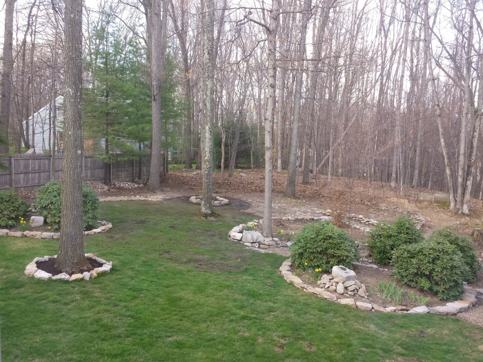 26 april. Weer wat groener gras