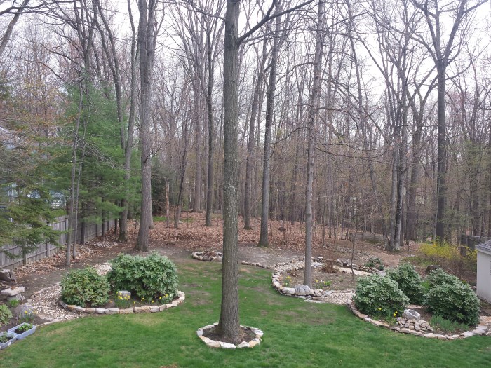 1 mei... nog wat groener