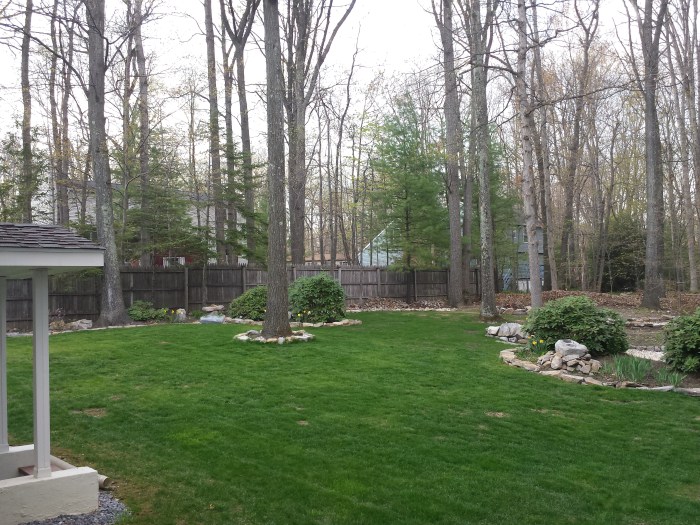 3 mei: zeer groen gras! 