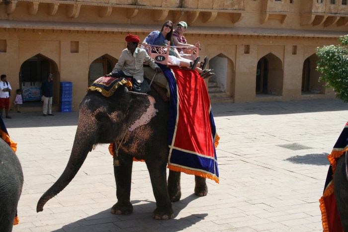 Peter en Jess op de olifant