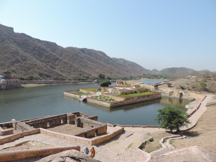 De lavendeltuin van het fort 