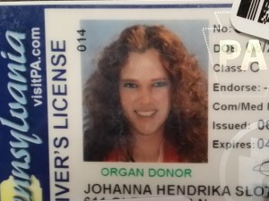 Krulhaar, een jaar geleden!