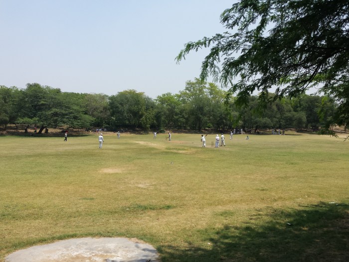 Cricket met 40 graden Celcius!