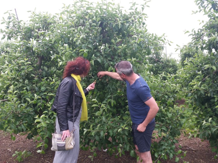 "Kijk, Johanna, dat uitdunnen gaat vanzelf in juni!"