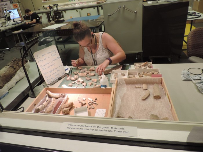 En een 'zoogdier' dat echt bezig is met botjes