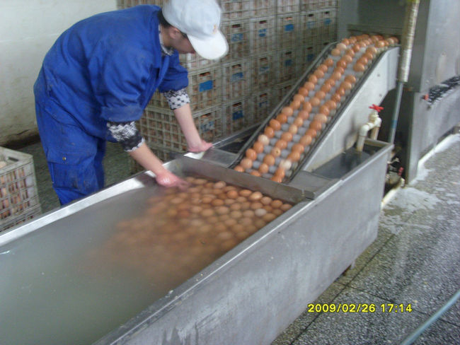 Het wassen van eieren