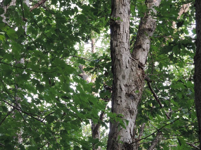 En, kunnen jullie 'm vinden?