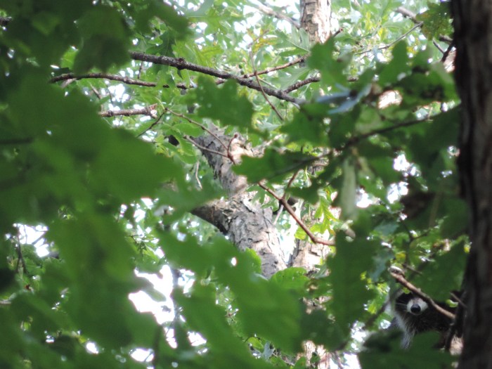 Wat verder ingezoomd. Duidelijk, toch?