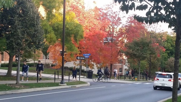 Vandaag op weg naar downtown... rode bomen op de campus