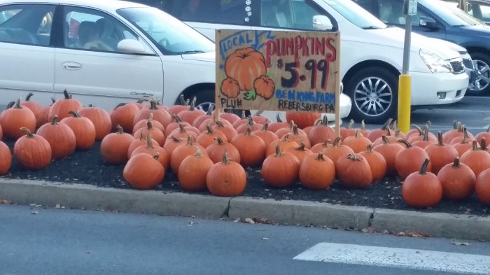 Pompoenen te koop buiten bij de Wegmans