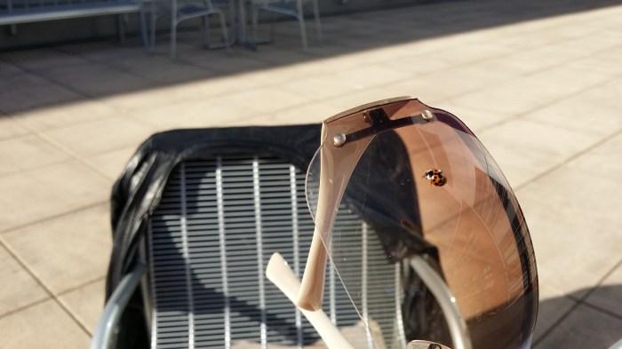 Lieveheersbeestje op mijn zonnebril!