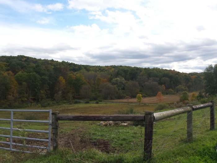 Een paar kilometer verderop. De meeste bomen zijn nog gewoon groen