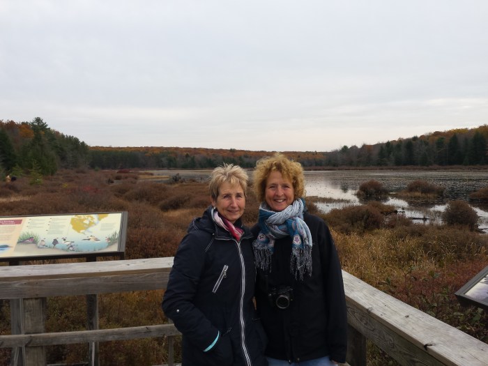 Bij Black Moshannon Lake