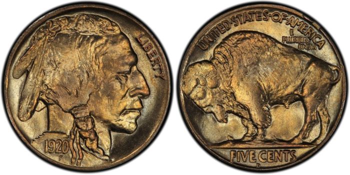 De Buffalo nickel. Met bizon op de achterkant!