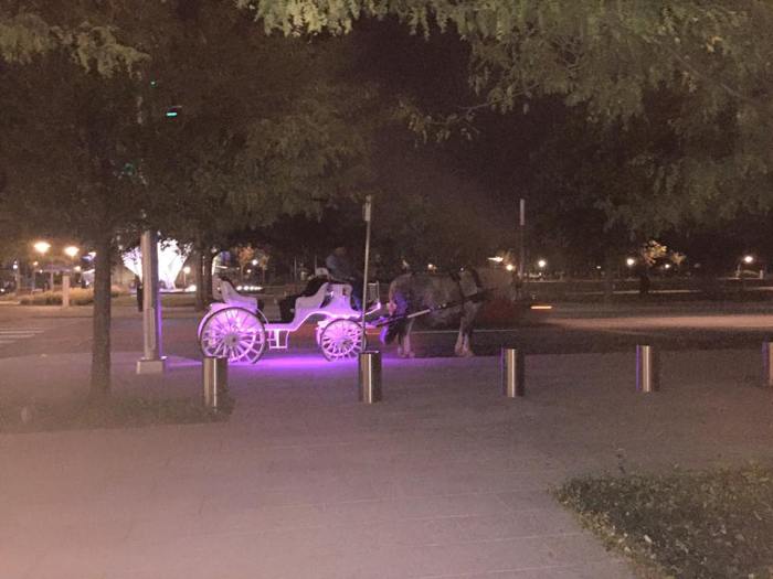De koets waar Chris en Christy mee weggingen aan het einde van de avond