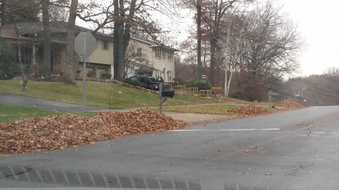 Blaadjes langs de weg, voor de blaadjesophaaldienst