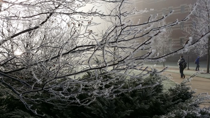 Nog zo'n plaatje. Bevroren mist op de campus